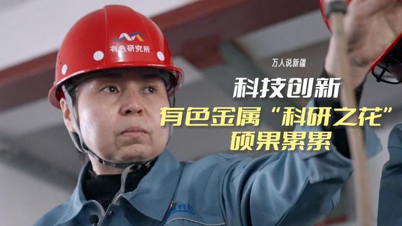 Hadoop数据仓库与传统数据仓库：架构与性能的深度解析
